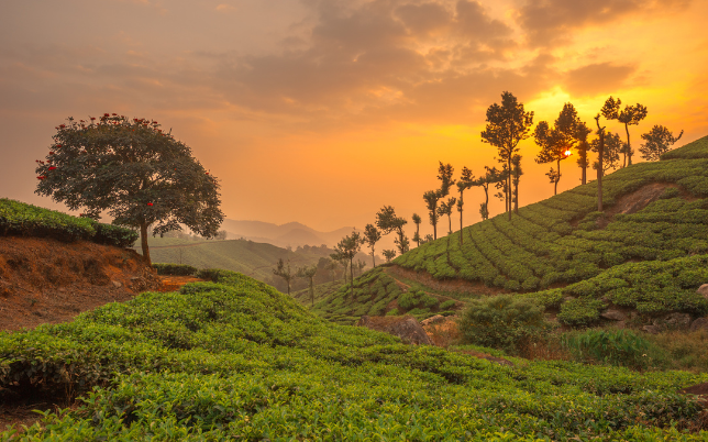 munnar